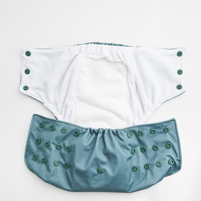 Fern - Washable Incontinence Brief - Pull Up Style - Medium